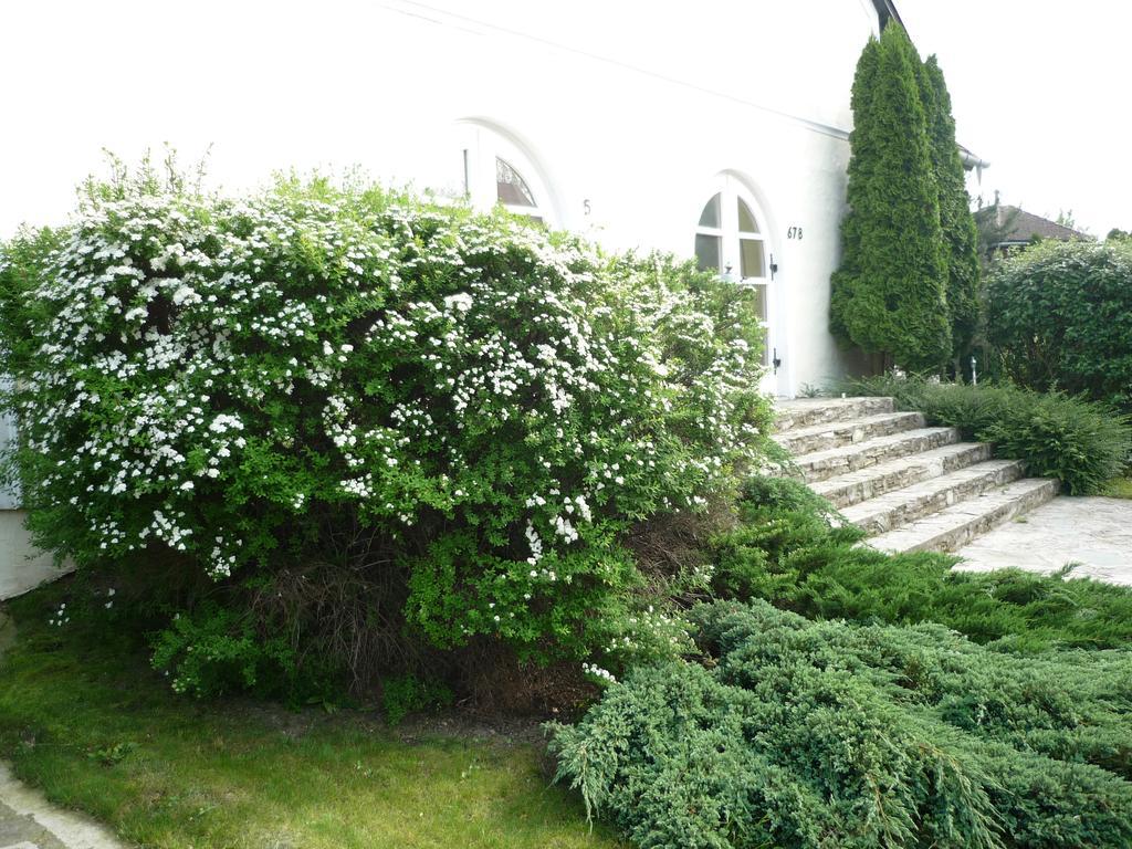 Oereg Malom Hotel Csepreg Dış mekan fotoğraf